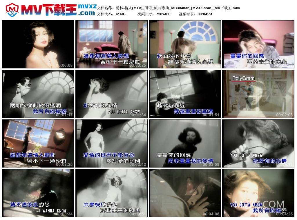 杨林-情人(MTV)_国语_流行歌曲_MC304832